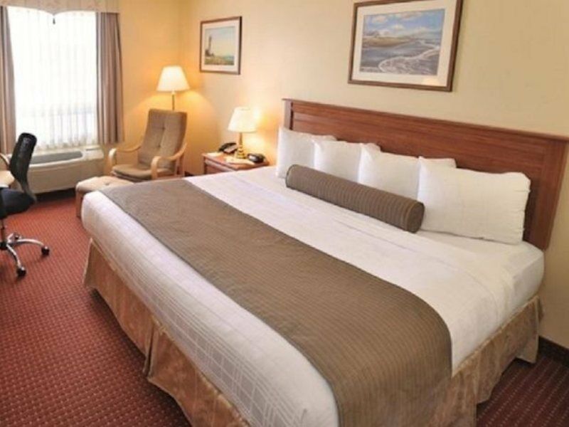 Best Western Plus Moncton Hotel Bagian luar foto